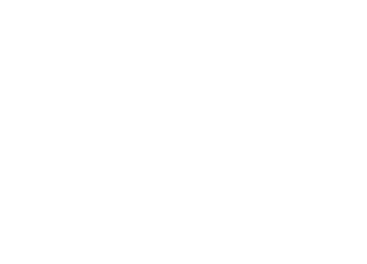 lg_schoeckl-challenge-white_transparent